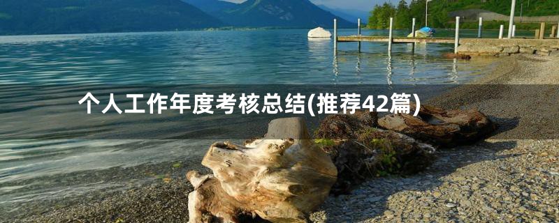 个人工作年度考核总结(推荐42篇)