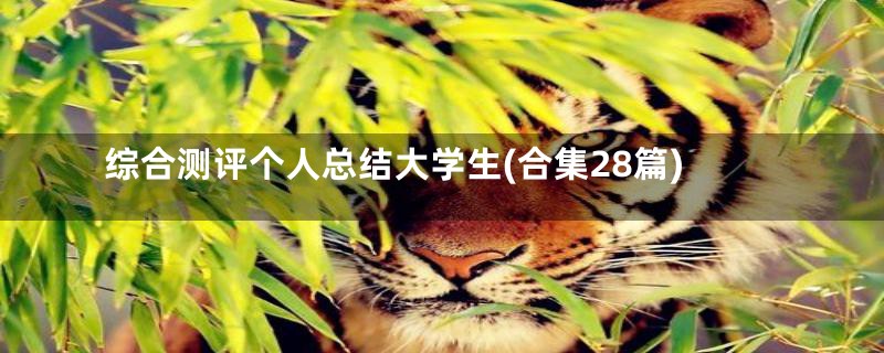 综合测评个人总结大学生(合集28篇)