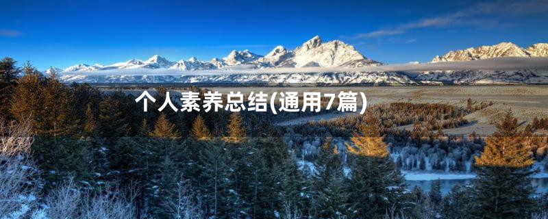 个人素养总结(通用7篇)