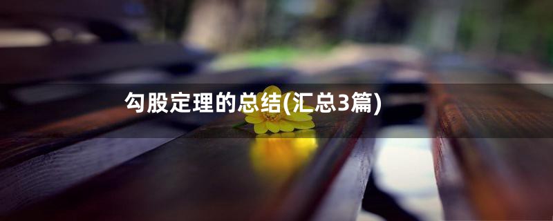 勾股定理的总结(汇总3篇)