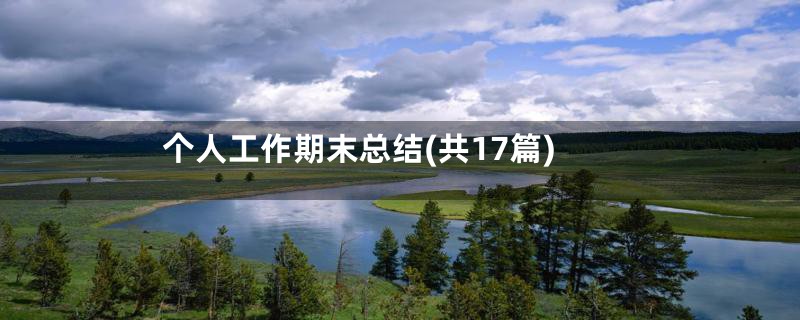 个人工作期末总结(共17篇)