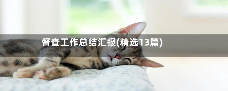 督查工作总结汇报(精选13篇)