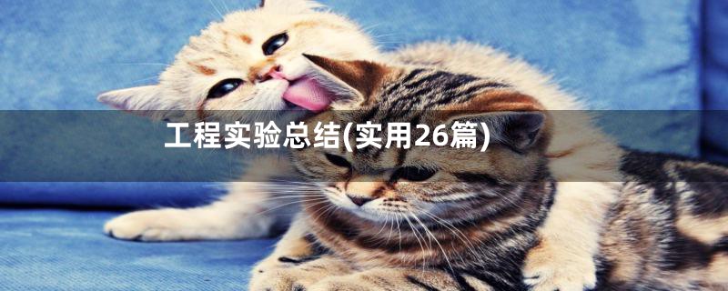 工程实验总结(实用26篇)