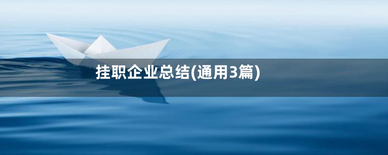 挂职企业总结(通用3篇)