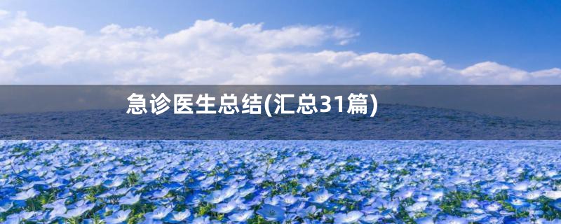 急诊医生总结(汇总31篇)