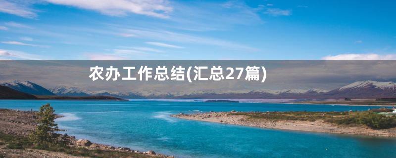 农办工作总结(汇总27篇)