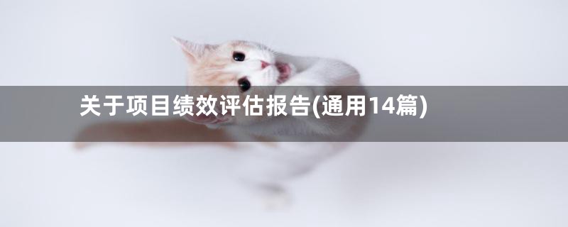 关于项目绩效评估报告(通用14篇)