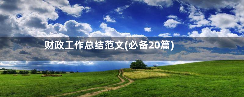 财政工作总结范文(必备20篇)