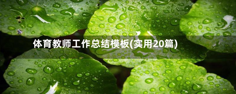 体育教师工作总结模板(实用20篇)
