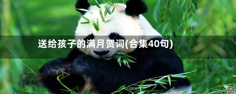 送给孩子的满月贺词(合集40句)
