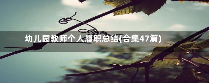 幼儿园教师个人履职总结(合集47篇)