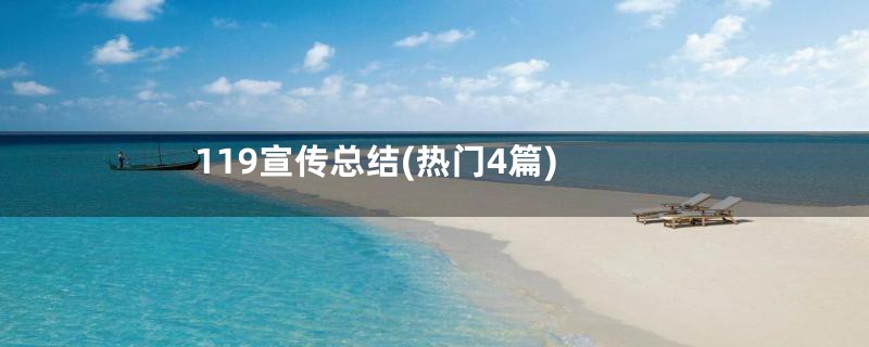 119宣传总结(热门4篇)
