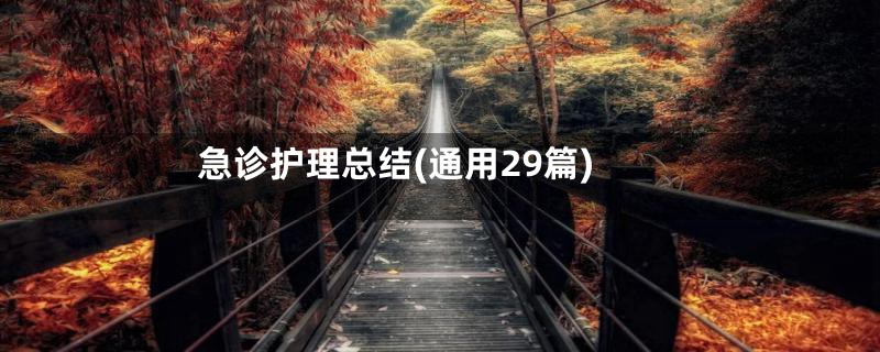 急诊护理总结(通用29篇)