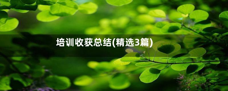 培训收获总结(精选3篇)