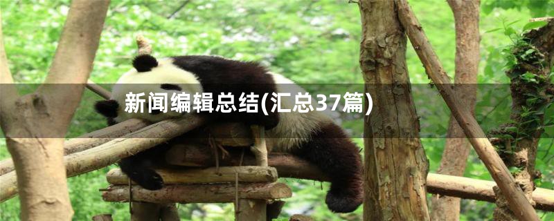 新闻编辑总结(汇总37篇)