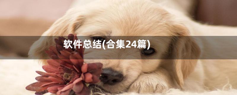 软件总结(合集24篇)