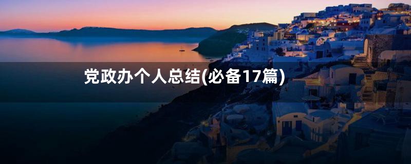 党政办个人总结(必备17篇)