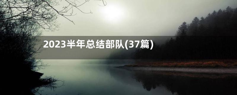 2023半年总结部队(37篇)
