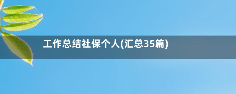 工作总结社保个人(汇总35篇)