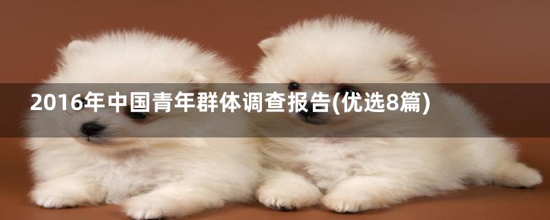 2016年中国青年群体调查报告(优选8篇)
