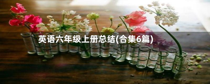 英语六年级上册总结(合集6篇)