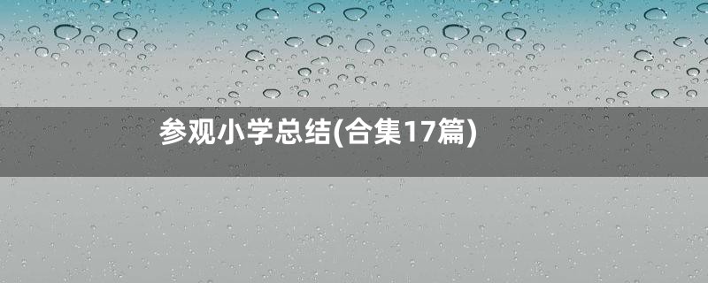 参观小学总结(合集17篇)