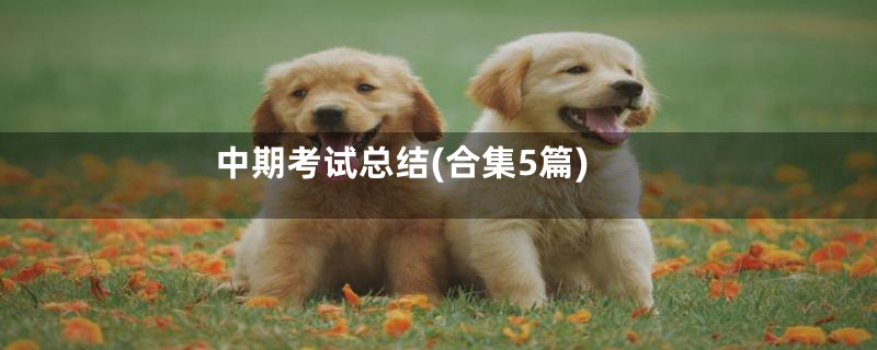 中期考试总结(合集5篇)