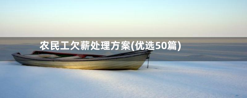 农民工欠薪处理方案(优选50篇)