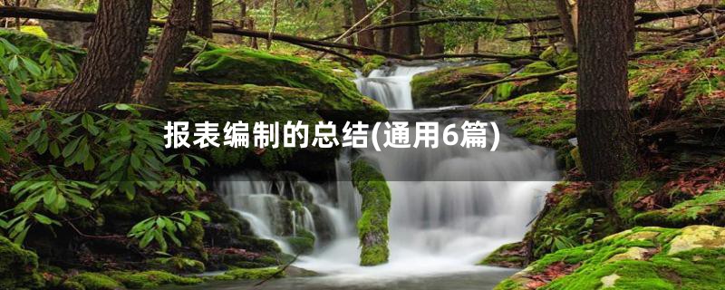 报表编制的总结(通用6篇)