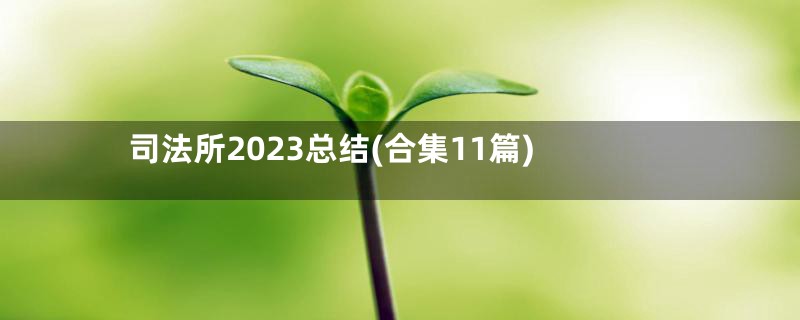 司法所2023总结(合集11篇)