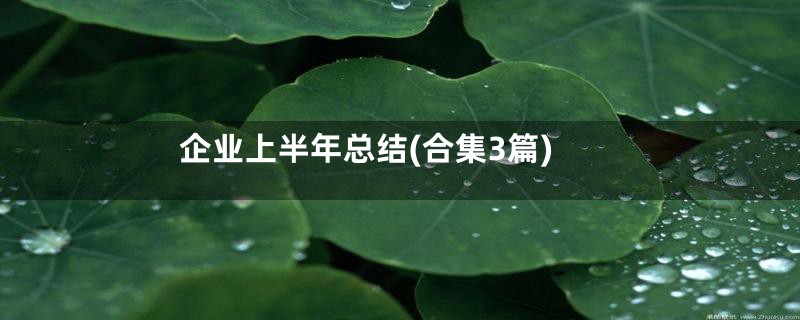 企业上半年总结(合集3篇)