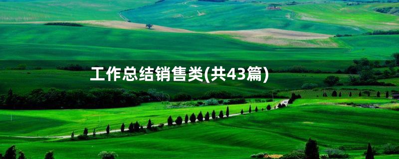 工作总结销售类(共43篇)