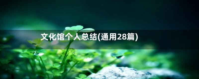 文化馆个人总结(通用28篇)