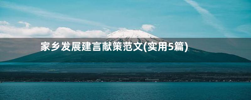 家乡发展建言献策范文(实用5篇)