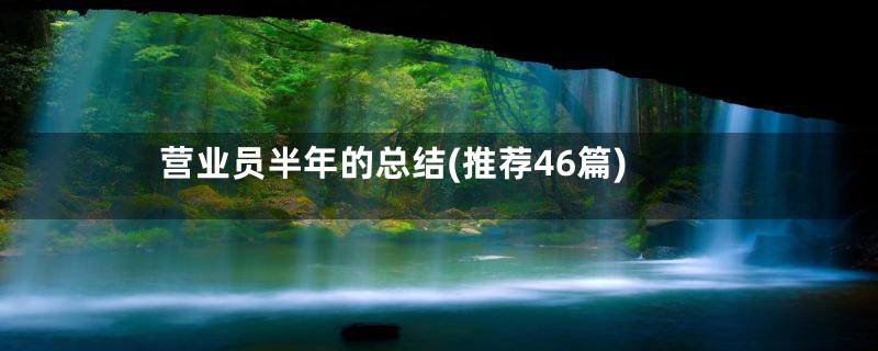 营业员半年的总结(推荐46篇)