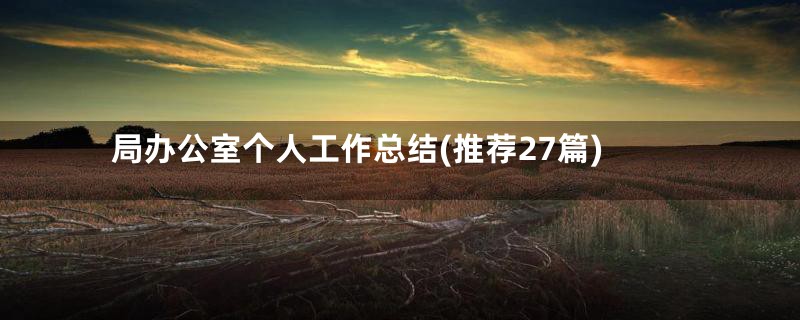 局办公室个人工作总结(推荐27篇)
