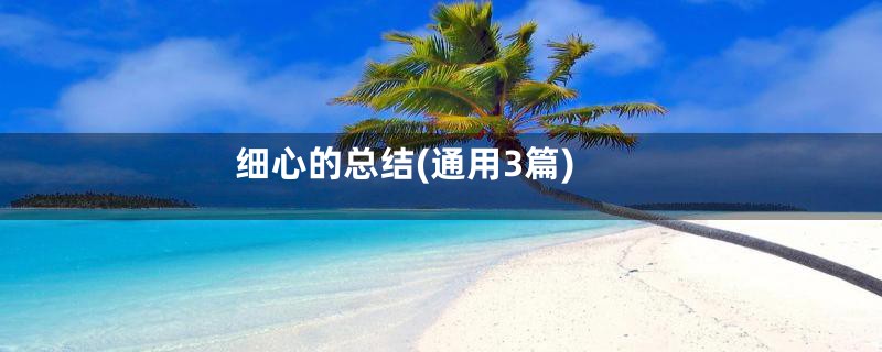 细心的总结(通用3篇)