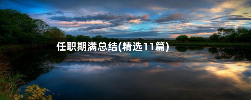 任职期满总结(精选11篇)