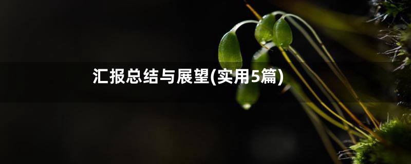 汇报总结与展望(实用5篇)