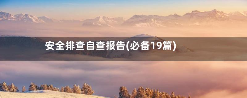 安全排查自查报告(必备19篇)