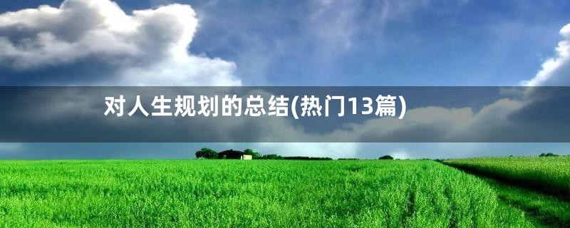对人生规划的总结(热门13篇)