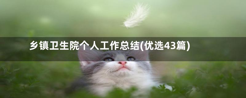 乡镇卫生院个人工作总结(优选43篇)