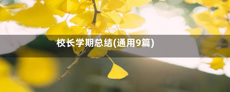 校长学期总结(通用9篇)