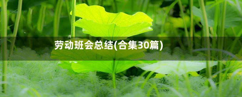 劳动班会总结(合集30篇)