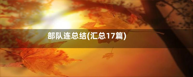 部队连总结(汇总17篇)