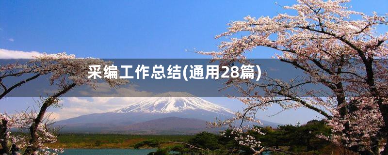 采编工作总结(通用28篇)