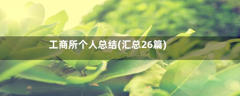 工商所个人总结(汇总26篇)