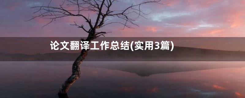 论文翻译工作总结(实用3篇)