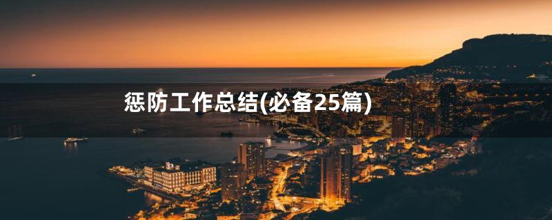 惩防工作总结(必备25篇)