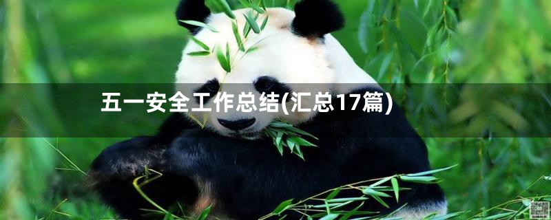 五一安全工作总结(汇总17篇)